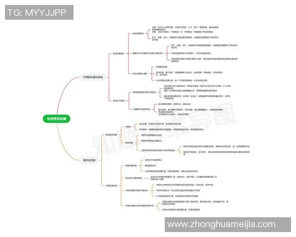 武汉篮球队的控制革新探索与发展路径分析